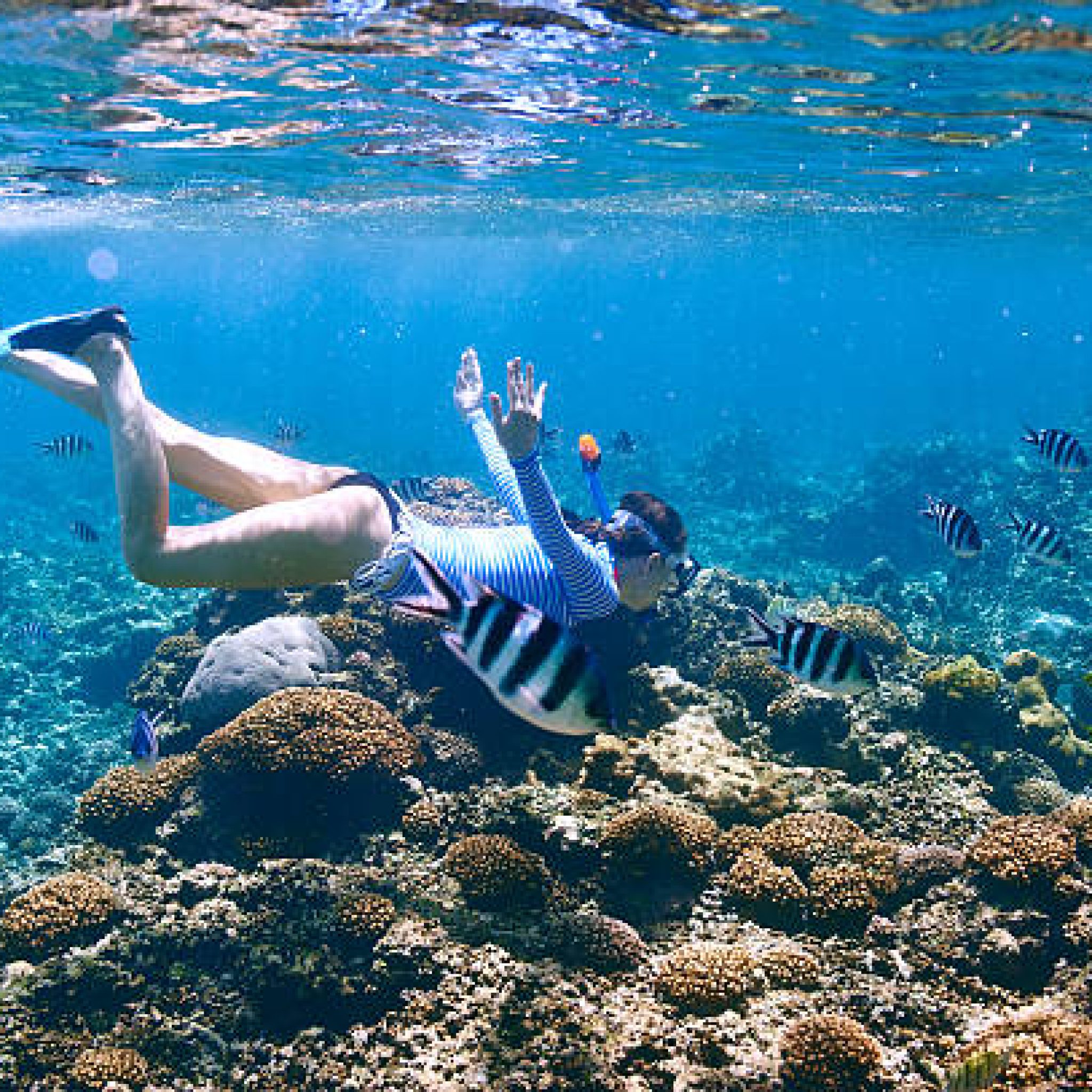 Snorkeling dans les eaux claires des Seychelles