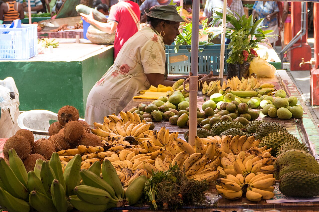 Entrée et visa, Seychelles