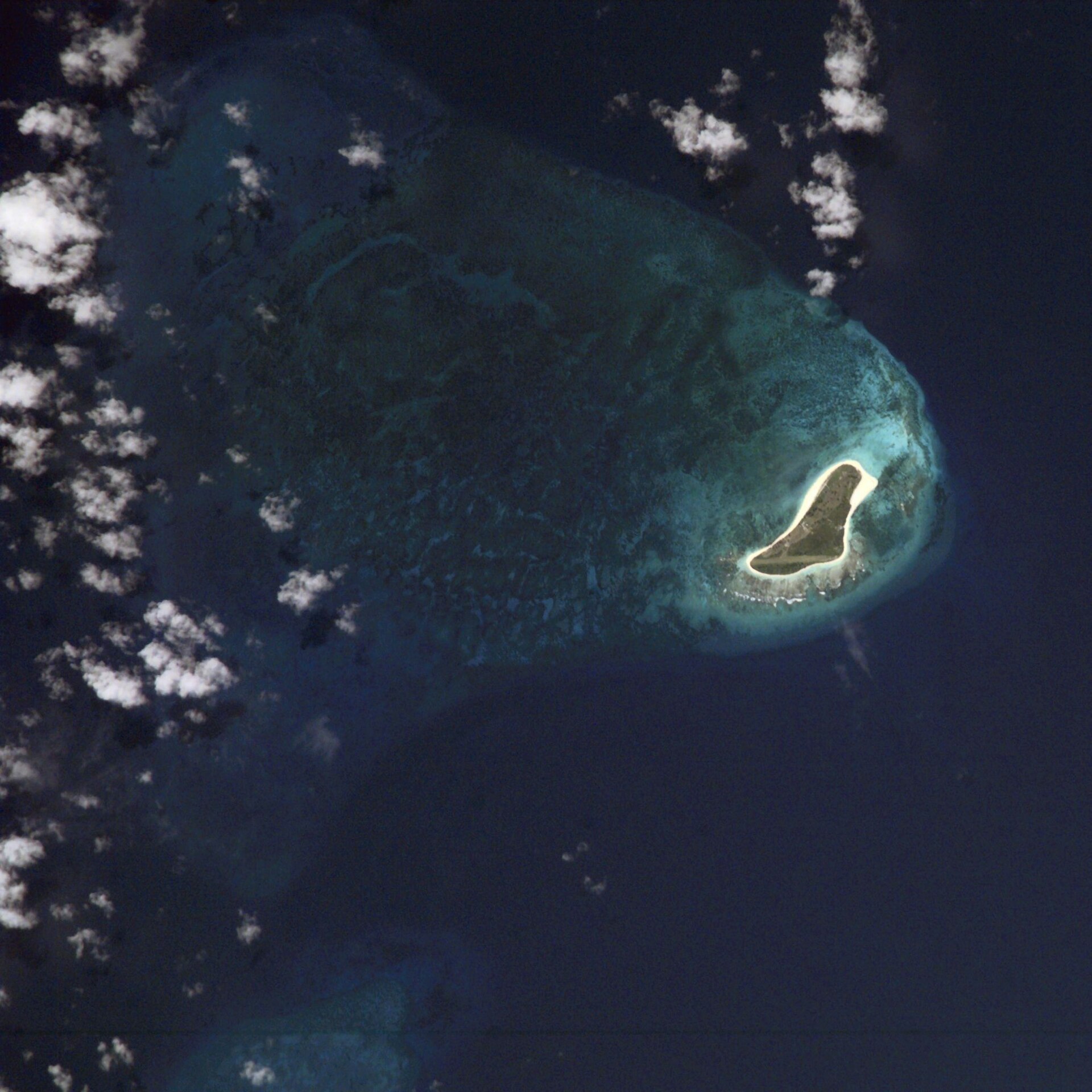 Bird Island