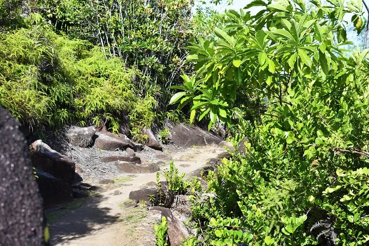 Sentier nature : randonnée privée en forêt