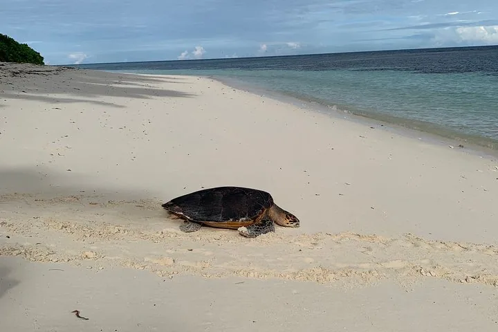 Praslin et La Digue : excursion d'une journée (groupe)