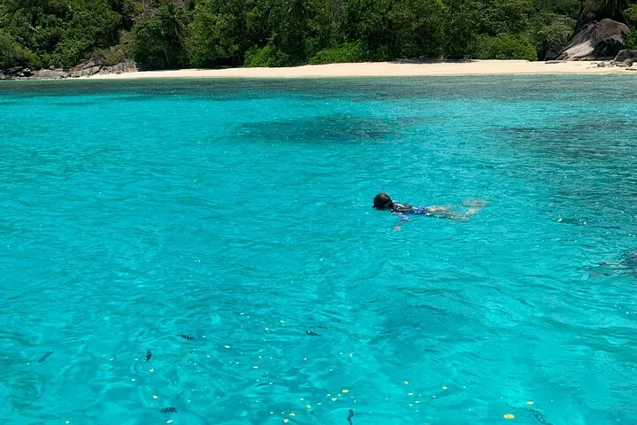 Reef Safari : snorkeling au parc de Baie Ternay