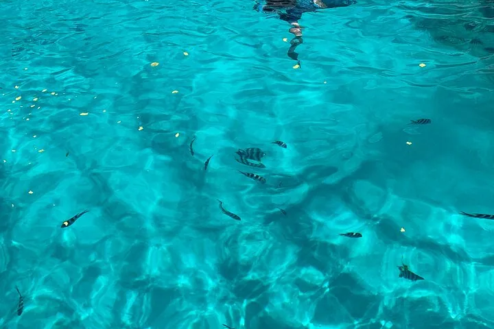 Reef Safari : snorkeling au parc de Baie Ternay
