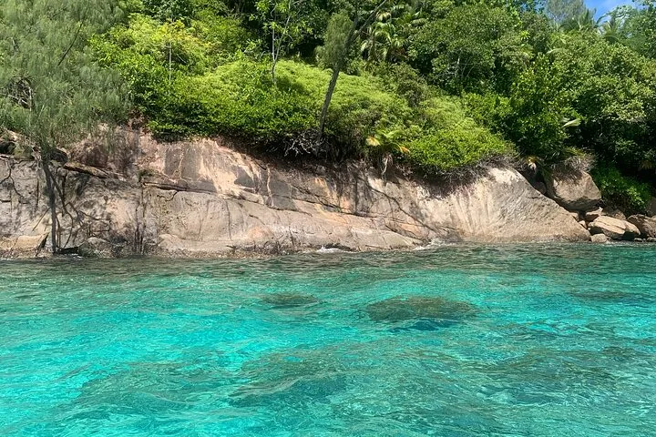 Reef Safari : snorkeling au parc de Baie Ternay